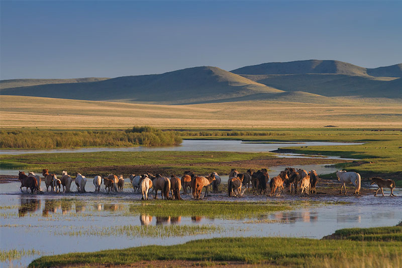 kherlen river mongolia
